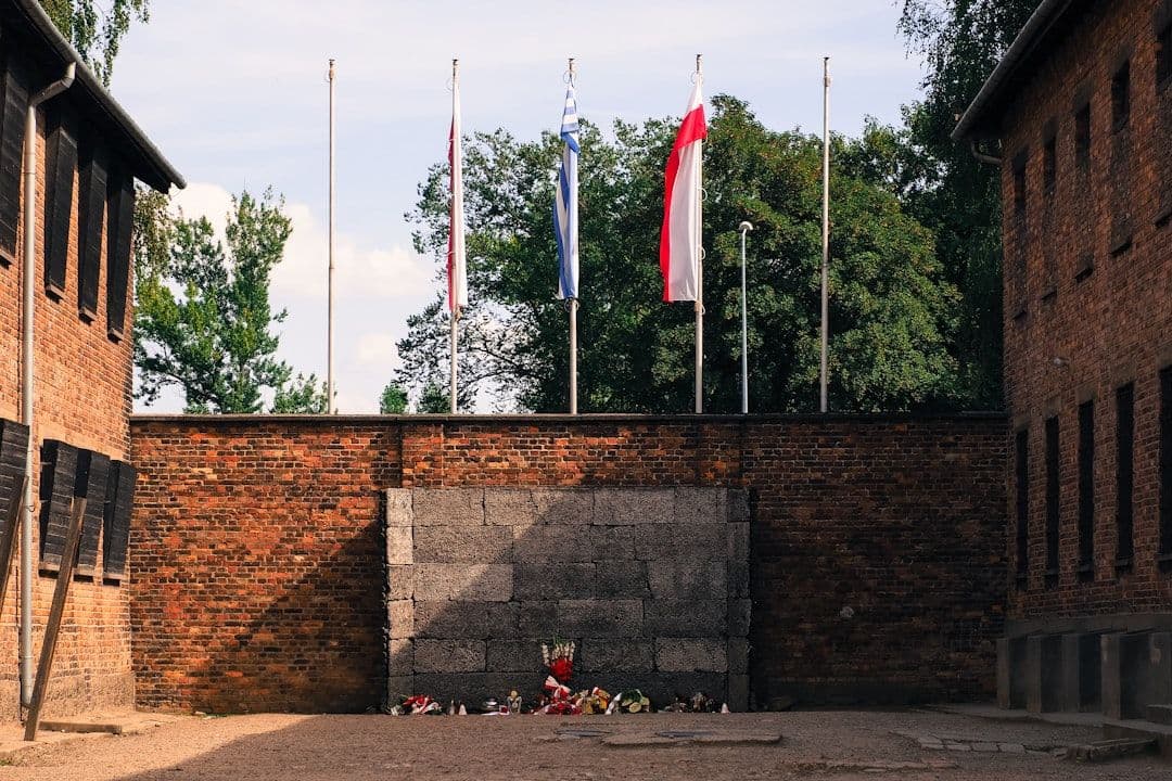Paul Collier: Niemcy powinny współpracować z Polską, by przyspieszyć innowacje