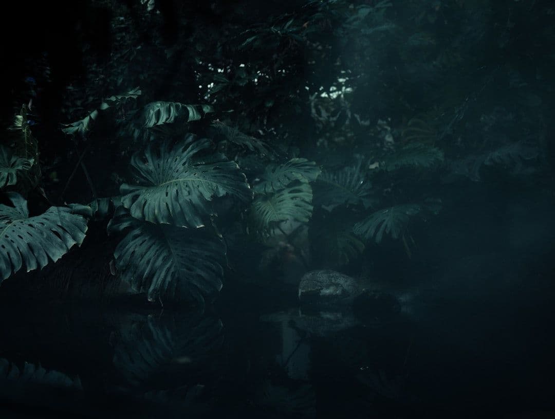 Tomb Raider: Catalyst opóźniony. Nowa gra z Larą Croft trafi na rynek dopiero w 2028 roku