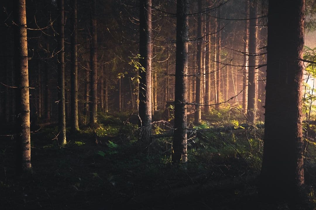 The Witcher: piąty sezon Netflixa może zostać opóźniony do 2027 roku