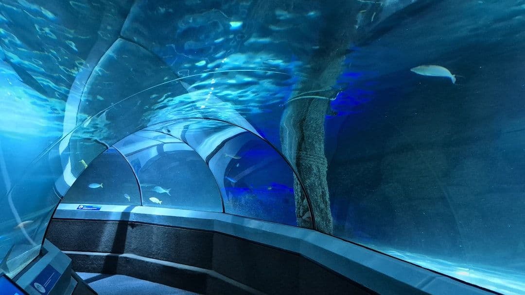 Subnautica 2 ma eksperymentalną wersję na Steamie. Uwaga na zapisy gry