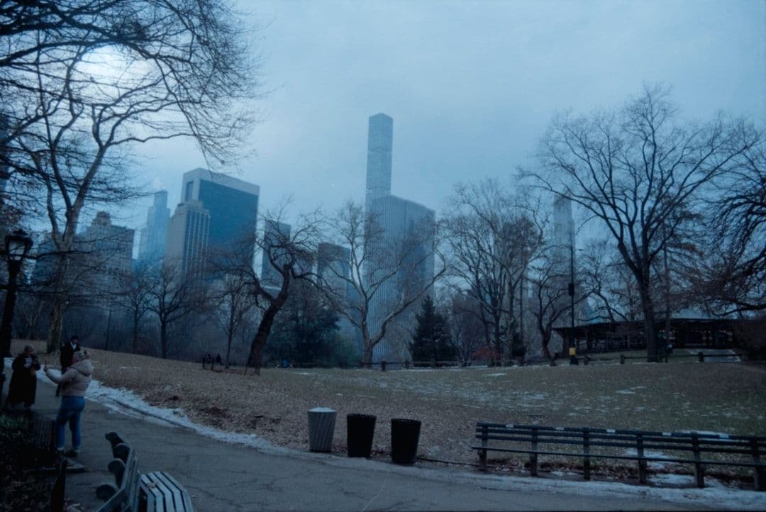 The Division 2 otrzyma rozszerzenie Echoes of Central Park