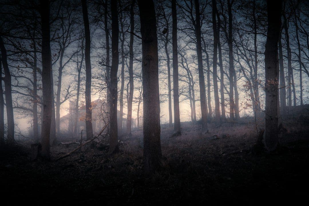 The Witcher 3: Wild Hunt Remastered ma pełne wymagania PC. Ray tracing i path tracing
