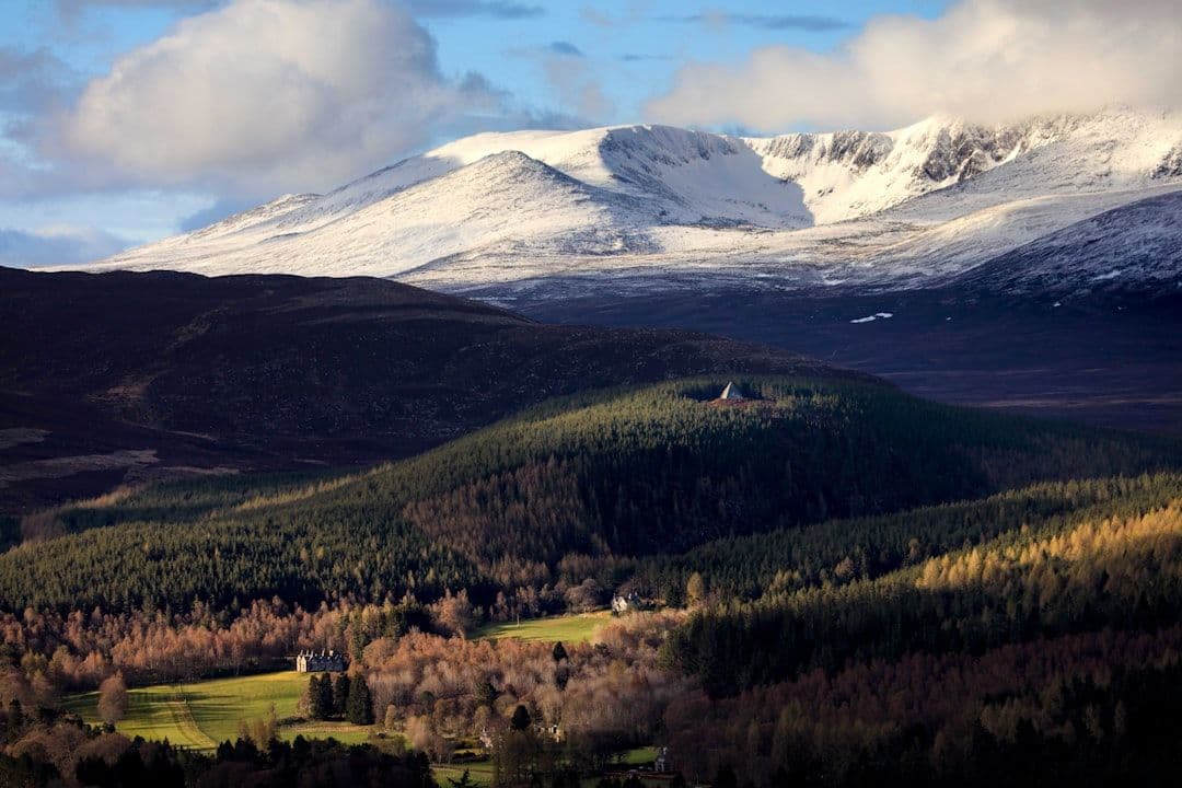 Szkocja prosi Londyn o wojskowe wsparcie w walce z pożarem w Cairngorms