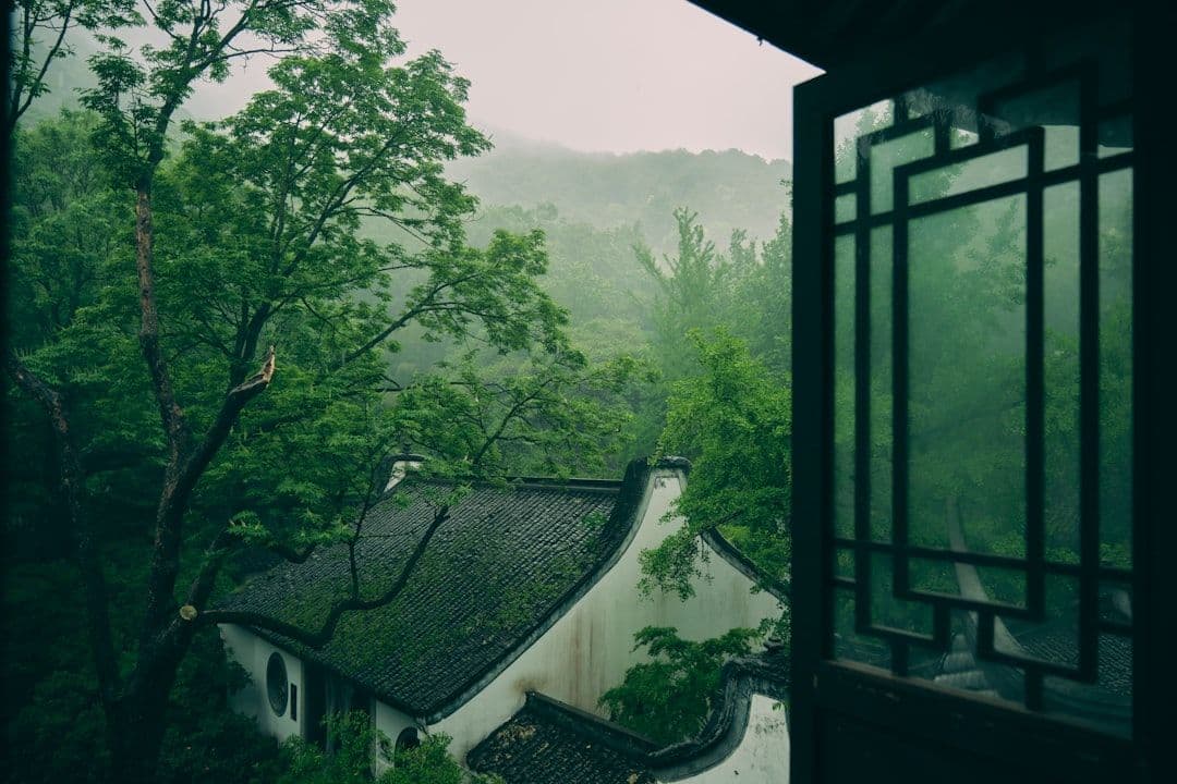 Rainy scenery from a window frame in the forest.
