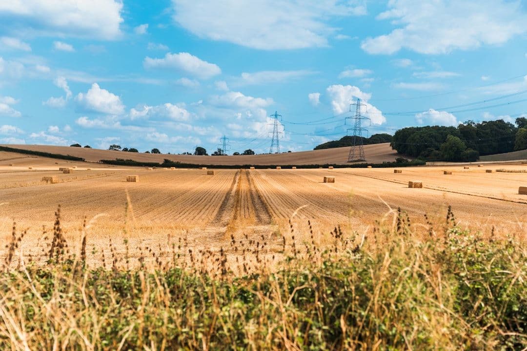 Upały i gospodarka Wielkiej Brytanii: koszty zaniechania działań klimatycznych