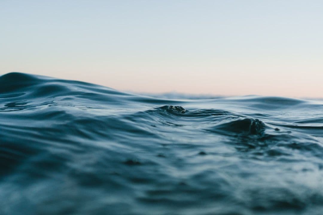 Oceany osiągnęły najwyższą temperaturę w historii pomiarów