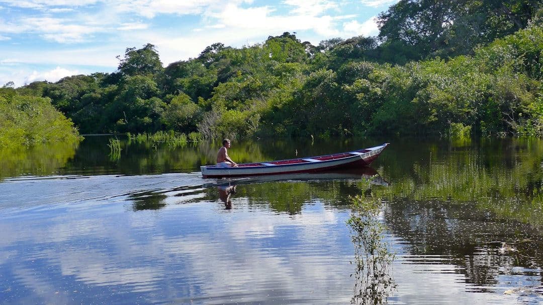 Amazonia: setki osób wkroczyły na teren chroniący lud w izolacji