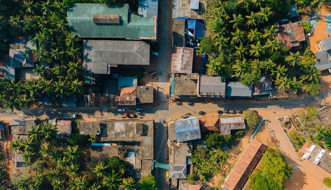 an aerial view of a village in the jungle