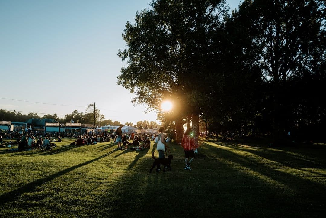 Øyafestivalen 2026 w Oslo: The Cure, Wilco i Lily Allen w programie pełnym kontrastów