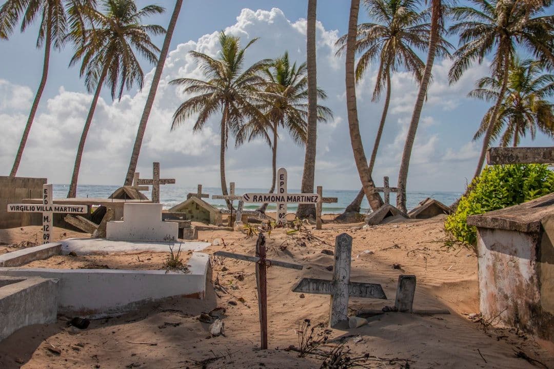 Pod piaskiem Key West odkryto groby 295 Afrykanów