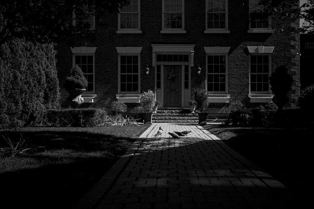 Jennifer Coolidge wróci w drugim sezonie serialu „The Watcher”
