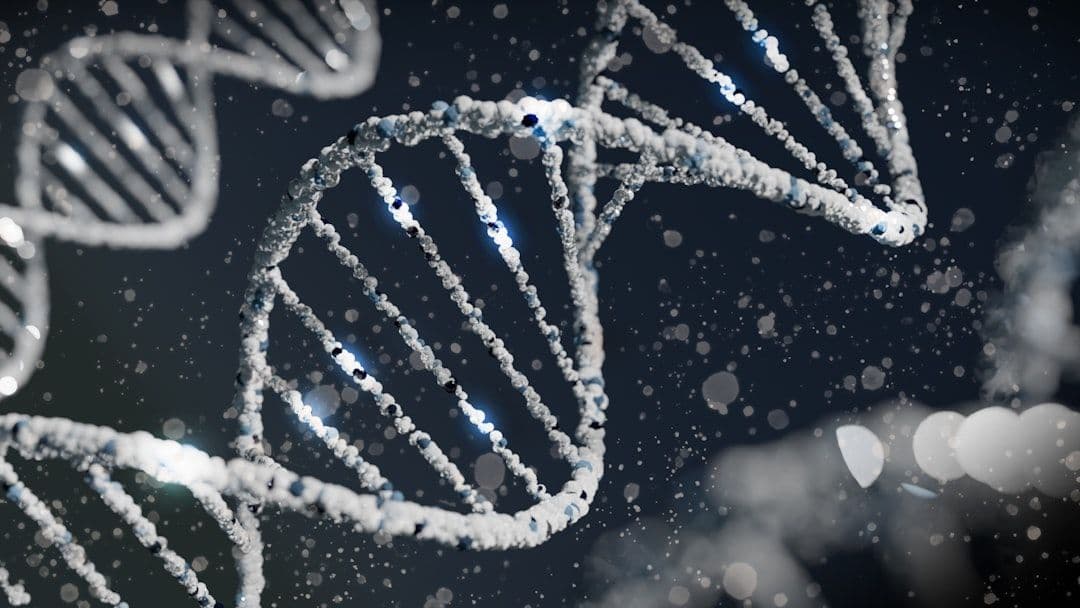 Niemal cały genom zaginionego przodka może być rozproszony w naszym DNA