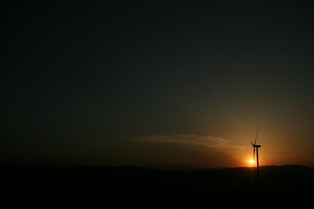 Turbiny wiatrowe zabiły w USA niemal 19 mln nietoperzy od 1981 roku