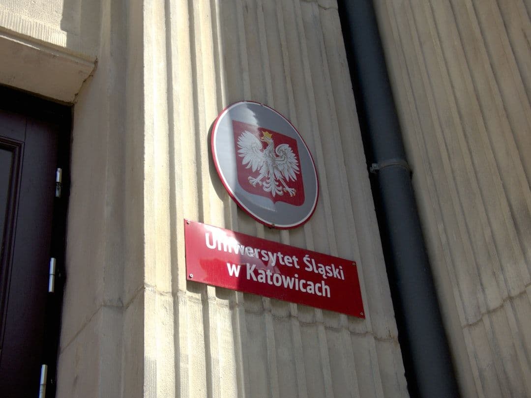 Młodzi Polacy mniej przekonani do studiów niż seniorzy