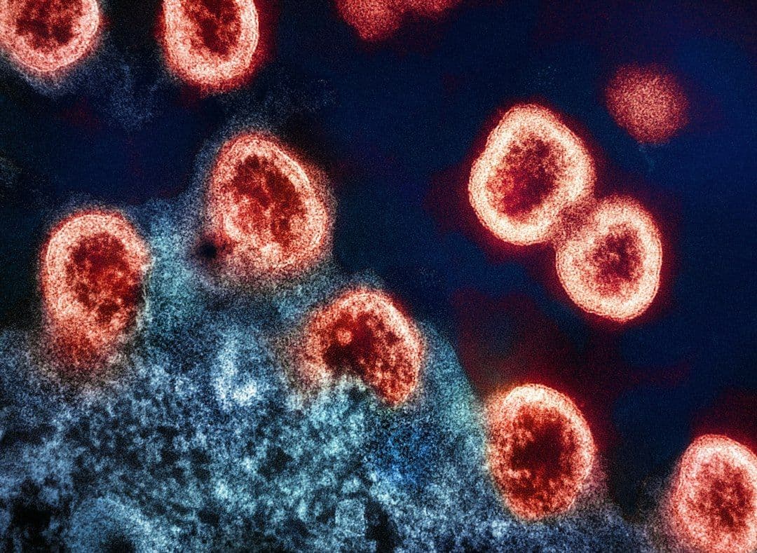Limfocyty B mogą uruchamiać zapalenie jelita po immunoterapii