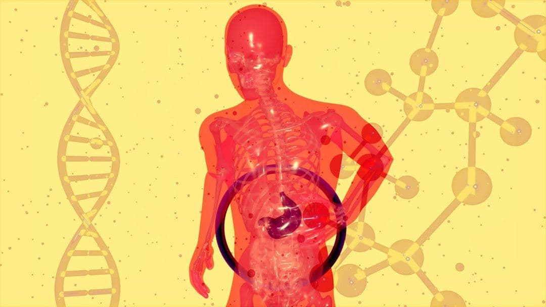 Eksperymentalny związek DT-109 odwrócił ciężką chorobę wątroby u zwierząt