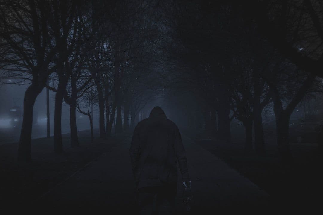 Tubi zapowiada antologię horroru „Bite Size Terror”
