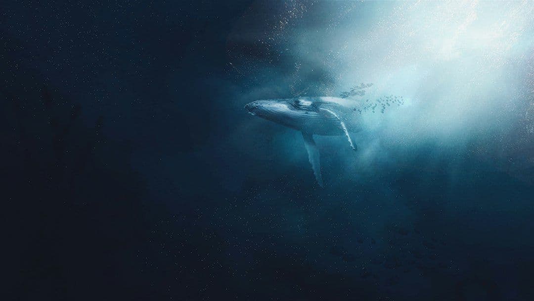BBC pokazało zwiastun „Blue Planet III”. David Attenborough wraca do oceanów