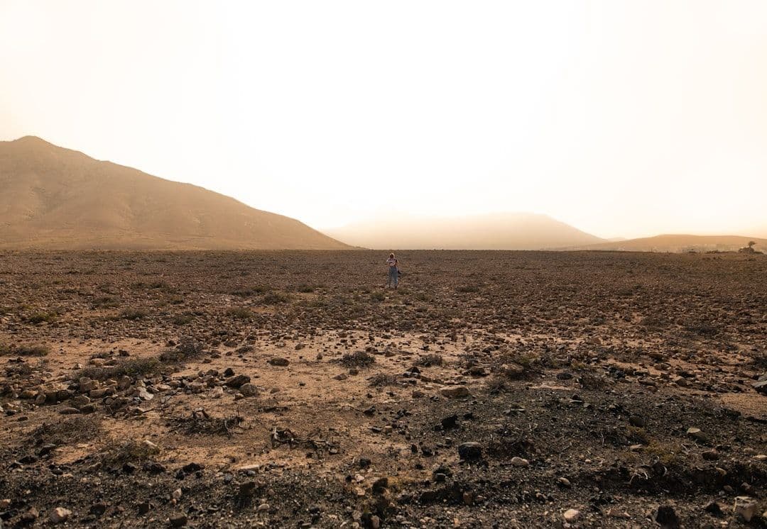 Curiosity odkrył na Marsie rozległe pole tajemniczych struktur przypominających plaster miodu