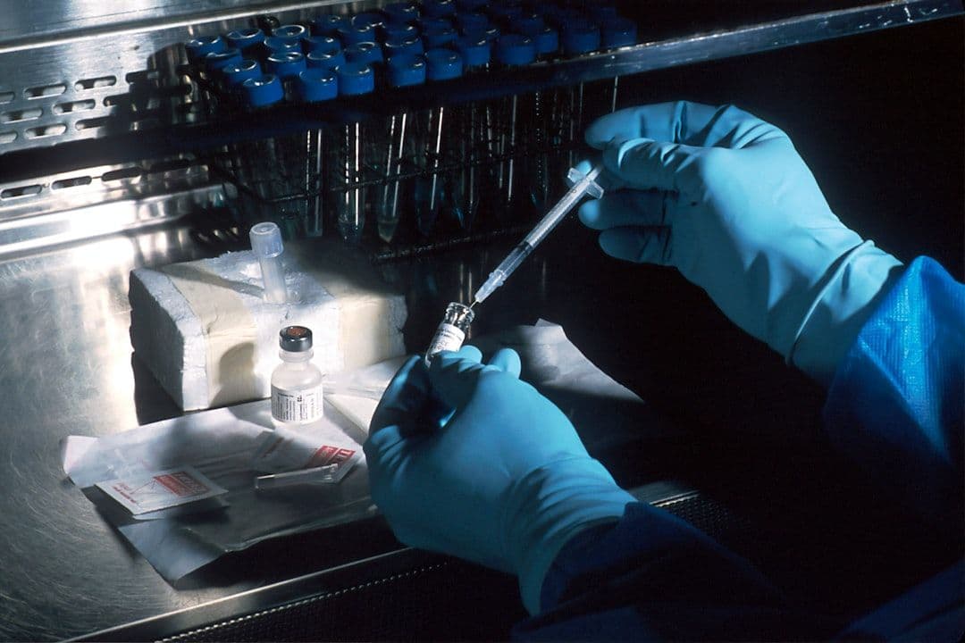 Fagi z CRISPR pomogły pacjentowi z ciężkim zakażeniem E. coli