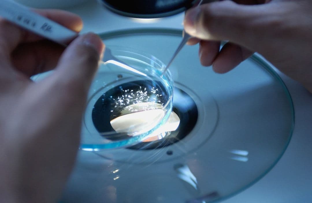 W Australii około 70 proc. transferów IVF dotyczy zamrożonych zarodków
