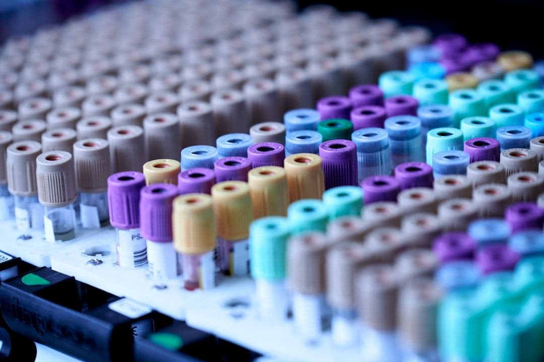 Zwiększenie ekspresji genu Meis2 odwróciło deficyty u dorosłych myszy
